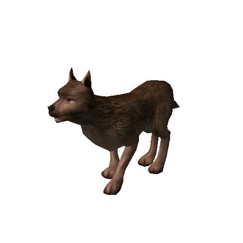 Aç Yabani Köpek