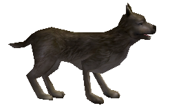 Yabani Köpek